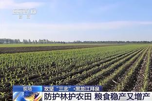 德甲历史最高积分91分：12/13赛季拜仁！药厂剩4轮能否全胜打破？