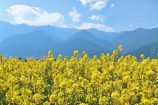 里程碑！亚历山大生涯抢断数来到500个